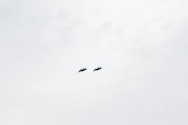 Uçarken bulutlu gökyüzünde iki küçük uçak