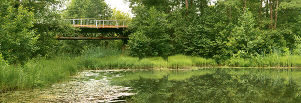 Panorama of the river in the forest