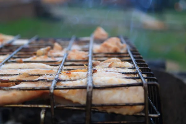 Barbecue picnic, coals in the grill — Stock Photo, Image