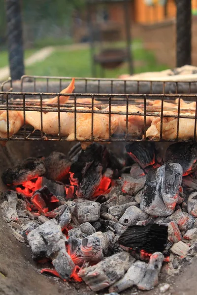 Barbecue Picnic Coals Grill — Stock Photo, Image