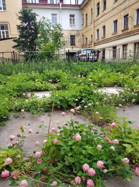 Eski avluların sessizliği ve huzuru
