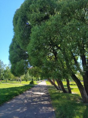 Güneşli bir günde eski park