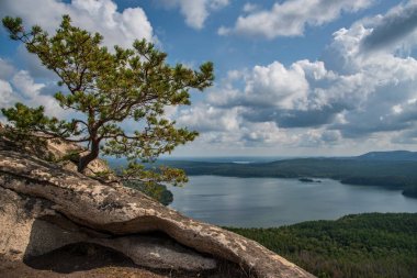 bir dağ gölü ve bulutlar ile bir manzara karşı granit kaya dan büyüyen tek başına bir çam ağacı.