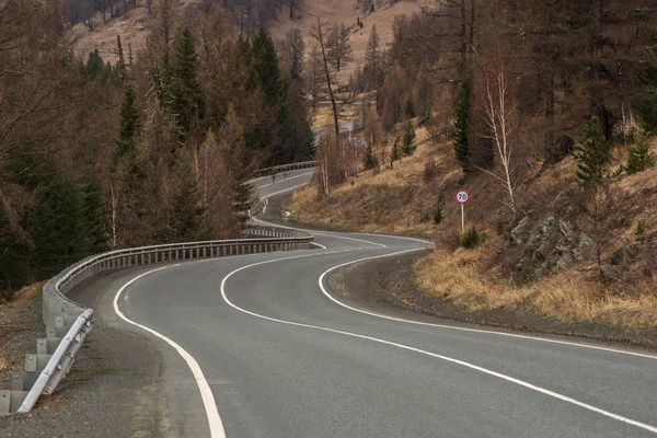 winding zigzag asphalted two-lane road with a solid dividing line in the mountainous terrain with a road speed limiter sign and a protective fence by a road bump through a coniferous forest.