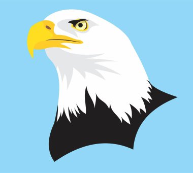 Cara de pajaro Aguila vectorizado clipart