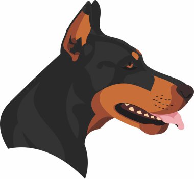 Cara de perro doberman en vektörler