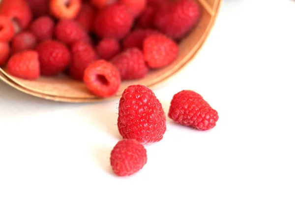 Cosecha Frambuesas Frescas Junio Dulce Frambuesa Roja Granja Frambuesas Cesta — Foto de Stock