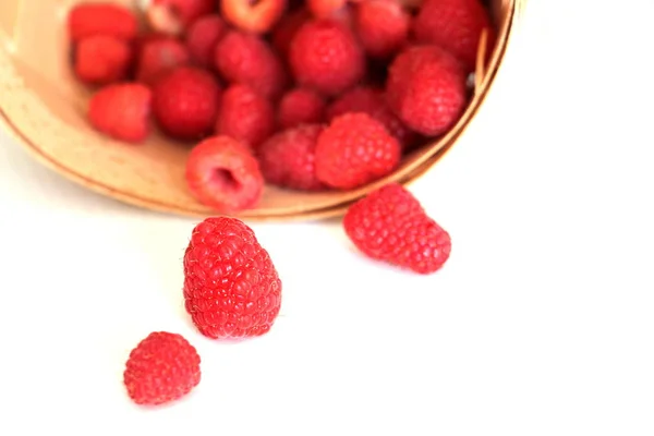 Harvest Fresh Raspberries June Sweet Red Raspberry Raspberry Farm Basket — Stock Photo, Image