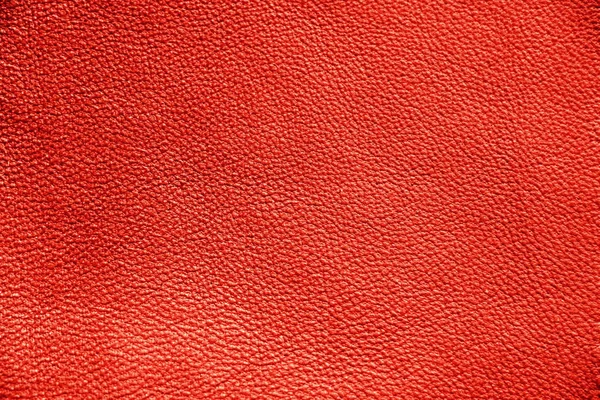 Texture Vera Pelle Sfondo Impeccabile Elegante Bellissimo Sfondo Elegante Texture — Foto Stock