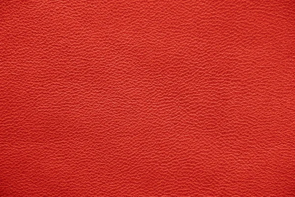 Texture Vera Pelle Sfondo Impeccabile Elegante Bellissimo Sfondo Elegante Texture — Foto Stock