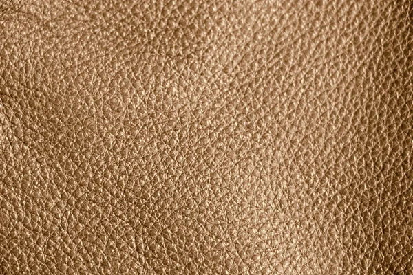 The texture of genuine leather. Impeccable and stylish background.  Beautiful stylish background. Natural skin texture close up. Brown  background. The structure of the leather material brown shades Stock Photo