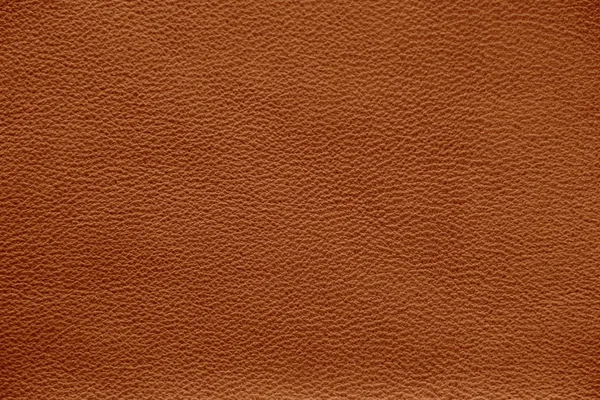 Die Textur Von Echtem Leder Makellose Und Stilvolle Hintergrund Schöne — Stockfoto