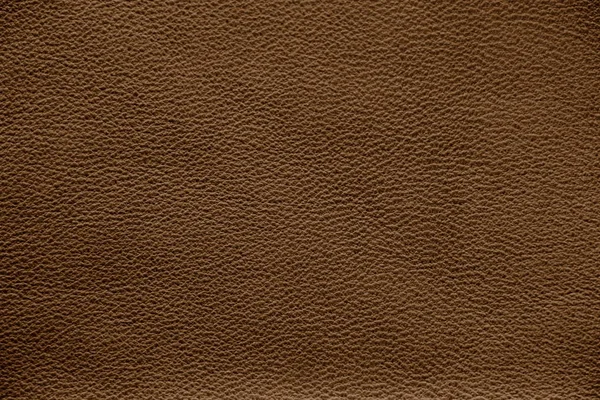Texture Vera Pelle Sfondo Impeccabile Elegante Bellissimo Sfondo Elegante Texture — Foto Stock