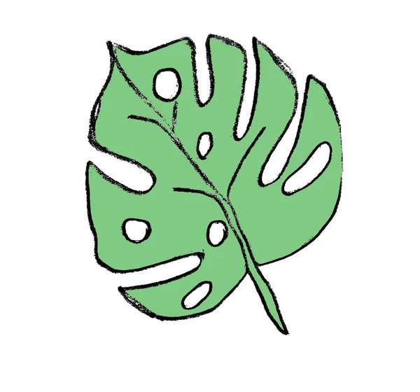Zielone Liście Naturalne Tło Dla Tapety Papieru Pakowania Okładki Tkaniny — Zdjęcie stockowe