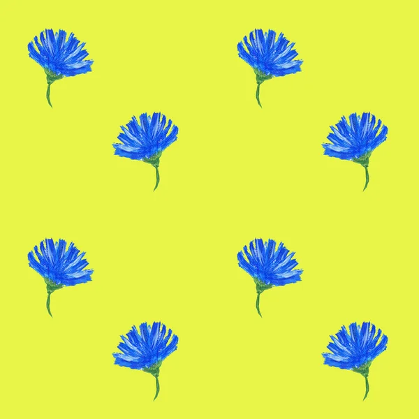 Blue Small Flowers Chicory Cornflowers Drawn Gouache Simple Seamless Floral — Stock Photo, Image