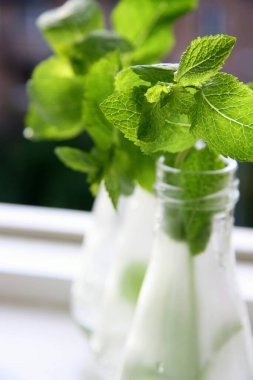 Yazın, pencerenin önünde, bir bardak suda taze yeşil nane..