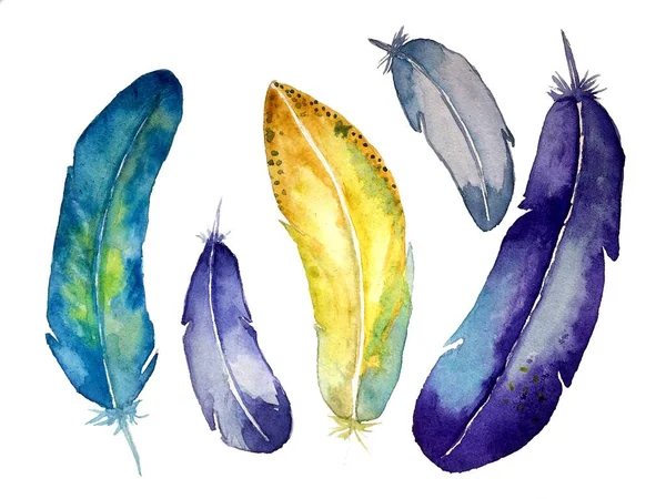 Multicolored Feathers Painted Watercolors White Paper — Stock Photo, Image