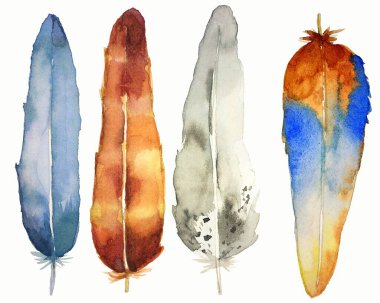 Çok renkli tüyler beyaz kağıda suluboya boya ile boyanır..