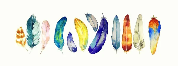 Multicolored Feathers Painted Watercolors White Paper — Stock Photo, Image