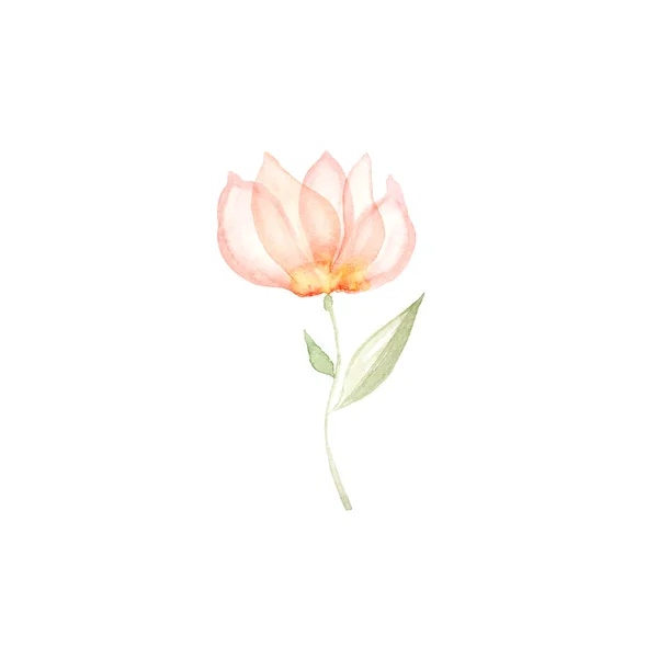 Simple pink flower painted with watercolor on a white background.