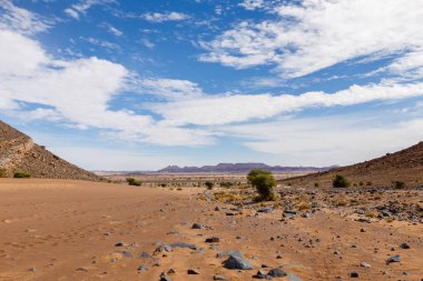 Sahara çöl, morocco