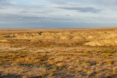 Gobi Moğolistan çöl