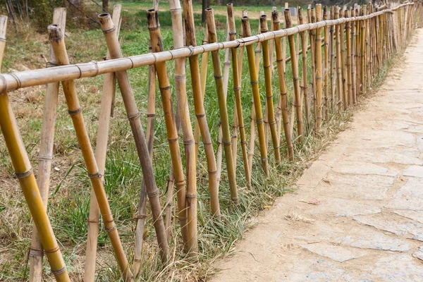 Bambuszaun entlang eines Fußweges in einem Park — Stockfoto