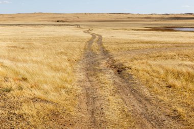 bozkır, kırsal yol çöl Gobi