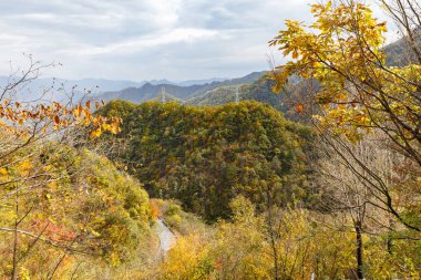 dağlarda güzel sonbahar manzara, Shaanxi Eyaleti, Çin