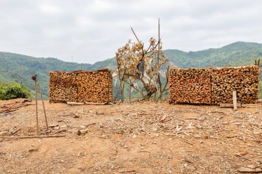 Odun satış, yol dağlarda, Laos