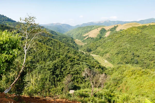 Selva Ladera Montaña Hermoso Paisaje Laos — Foto de Stock
