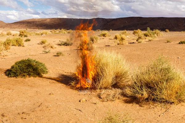 Der Busch Verbrennt Trockenes Gras Sahara Wüste Trockener Brennender Busch — Stockfoto