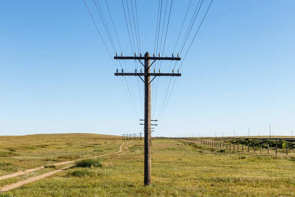 Freileitung Auf Holzstützen Der Mongolischen Steppe Bayan Mongolei — Stockfoto