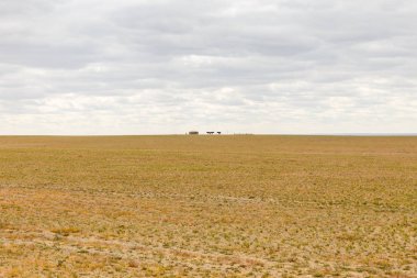 Moğol yatay, arka planda Gobi Çölü Moğolistan yurt