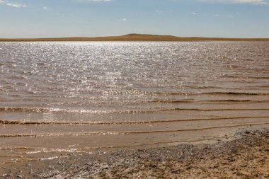 Gölde Moğol bozkır, Gobi Çölü, Moğolistan