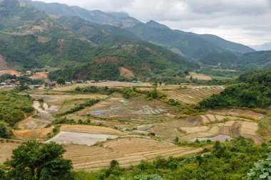 güzel manzara, pirinç tarlaları dağlar, Dien Bien Eyaleti, Vietnam zemin karşı Güz