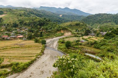 güzel manzara, pirinç sonbahar dağlarda Dien Bien Eyaleti, Vietnam köyü yakınlarında alanları