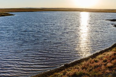 Moğol bozkır gölde