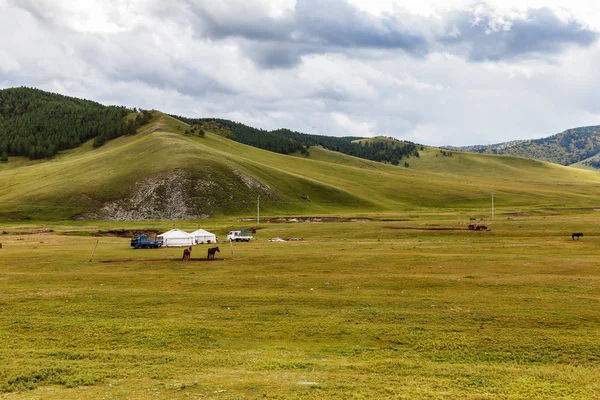 Mongoliska stäppen med vall, jurt — Stockfoto