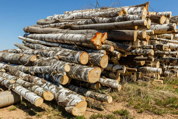 Bunch of logs stacked up.