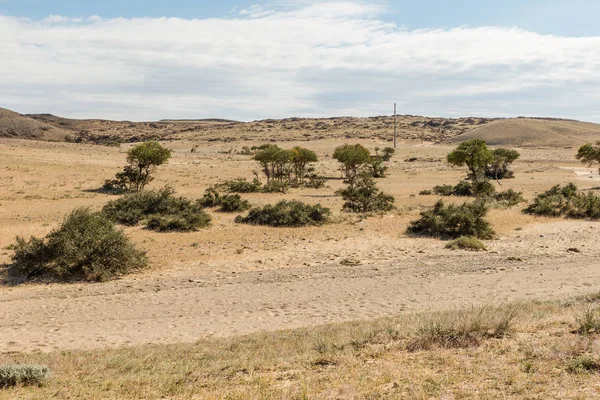 gobi desert mongolia