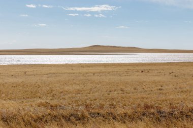 Moğol bozkırında küçük göl