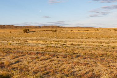 Gobi Moğolistan çöl