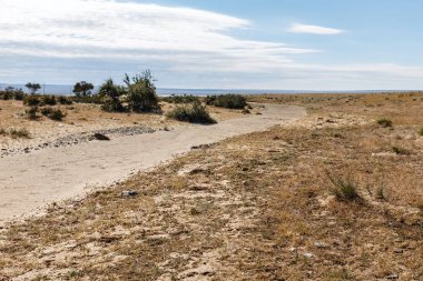 Gobi Moğolistan çöl