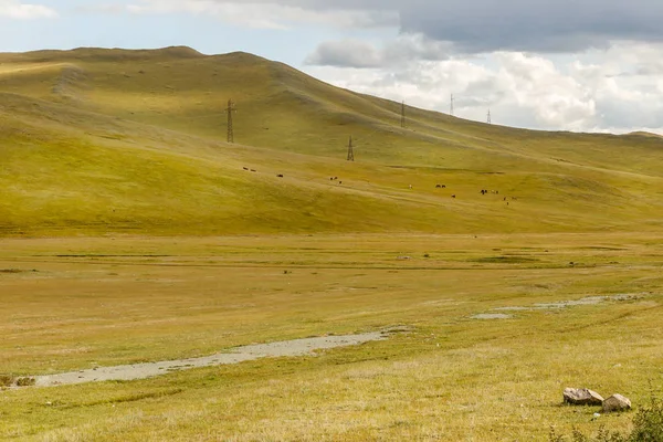 Hög spänning kraftledning går genom bergen i Mongoliet — Stockfoto