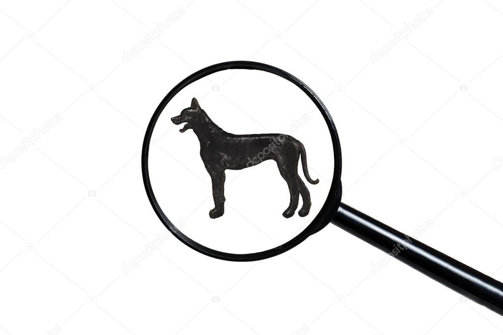 Silhouette of Great Dane on white background