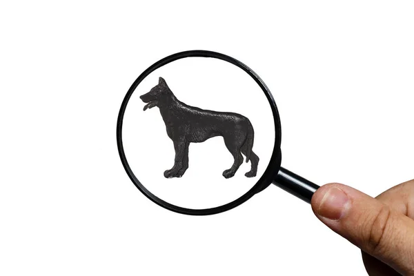 Silhouette eines Schäferhundes auf weißem Hintergrund — Stockfoto