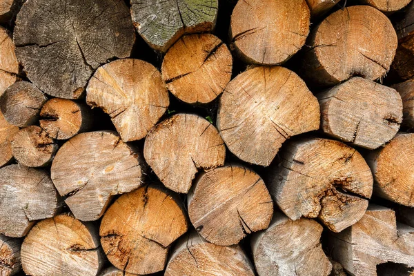 Rund ved staplad i en vedhög. — Stockfoto