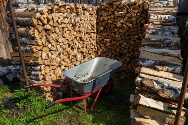 Récolte Bois Chauffage Pour Hiver Chariot Vide Tient Près Tas — Photo