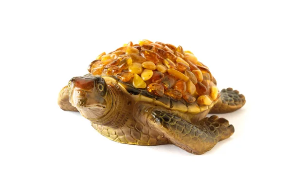 白底海龟 — 图库照片